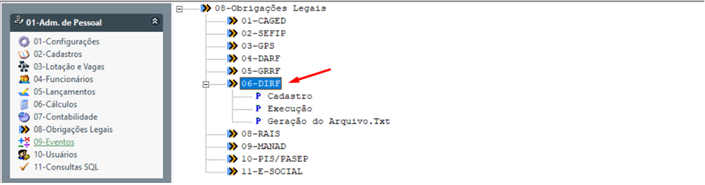 DIRF 2.png
