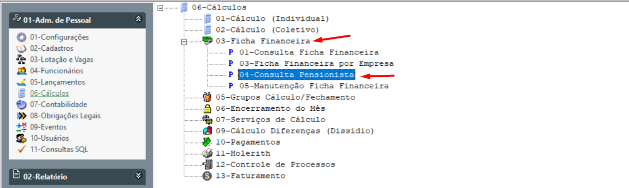 Consultapensionista2.png