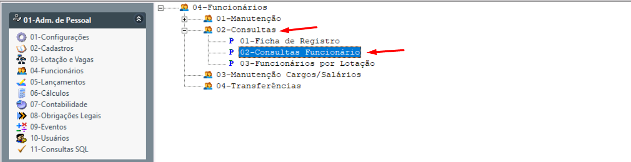 ConsultasFuncionarios2.png