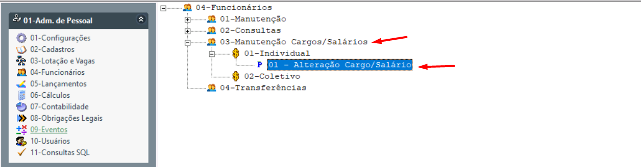 Manutencaoindividualdecargo2.png