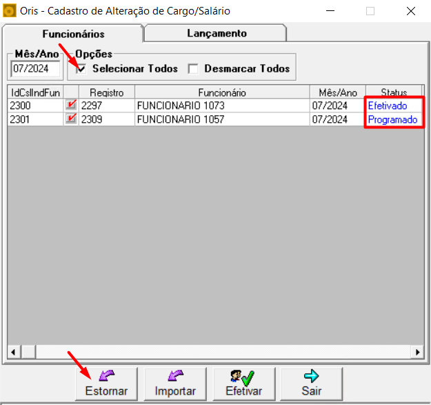 Manutencaoindividualdecargo12.png