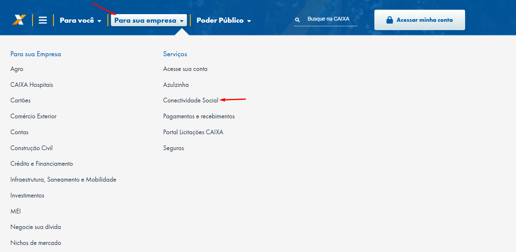 Conectividadeicp1.png