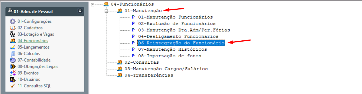 Reintegracao2.png