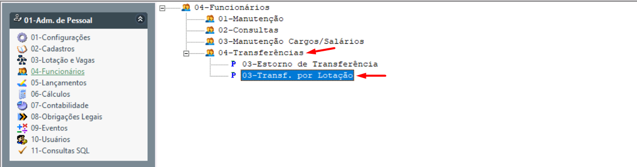 Transfestornolotacao2.png