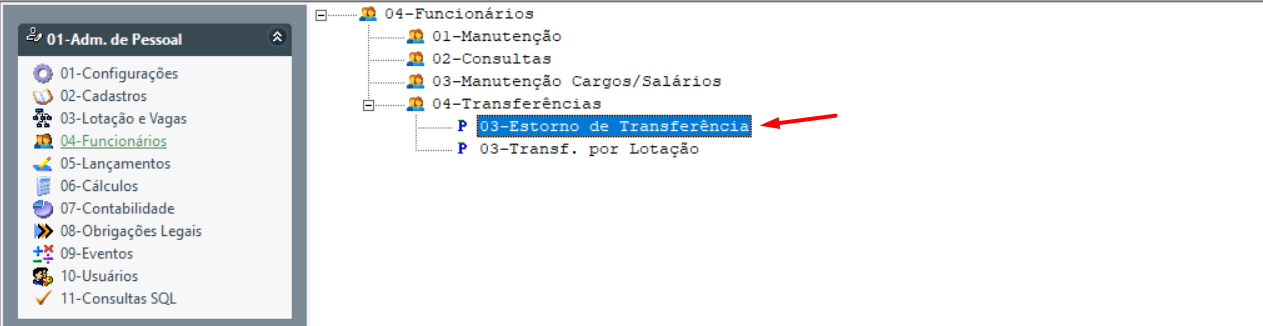 Transfestornolotacao7.png